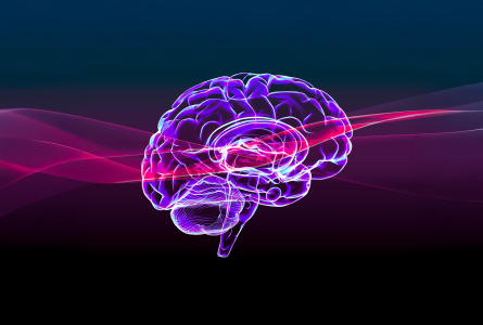 Projective Techniques