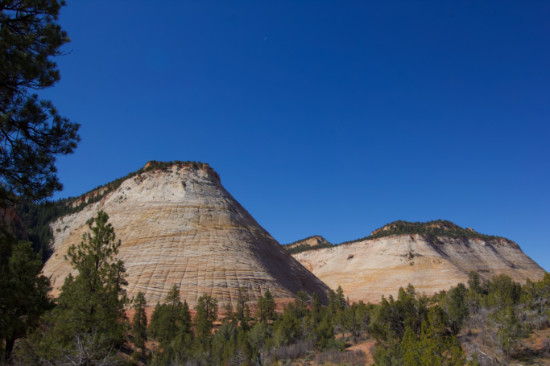 Checkerboard Mesa Zion National Park