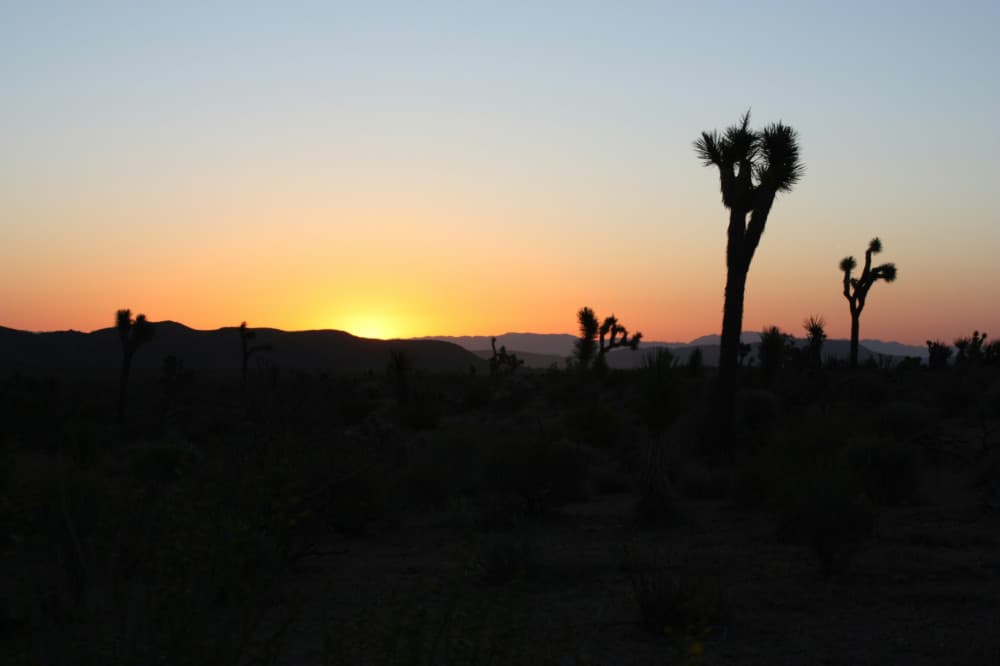 Death Valley Sunset