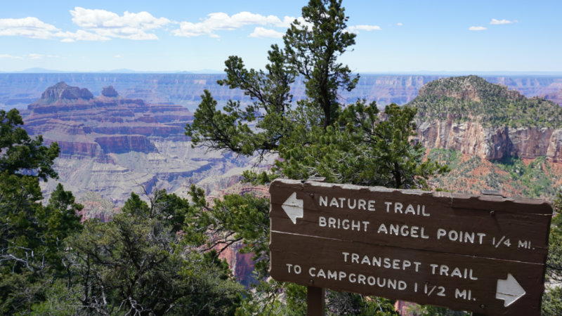 Hiking At The South Rim