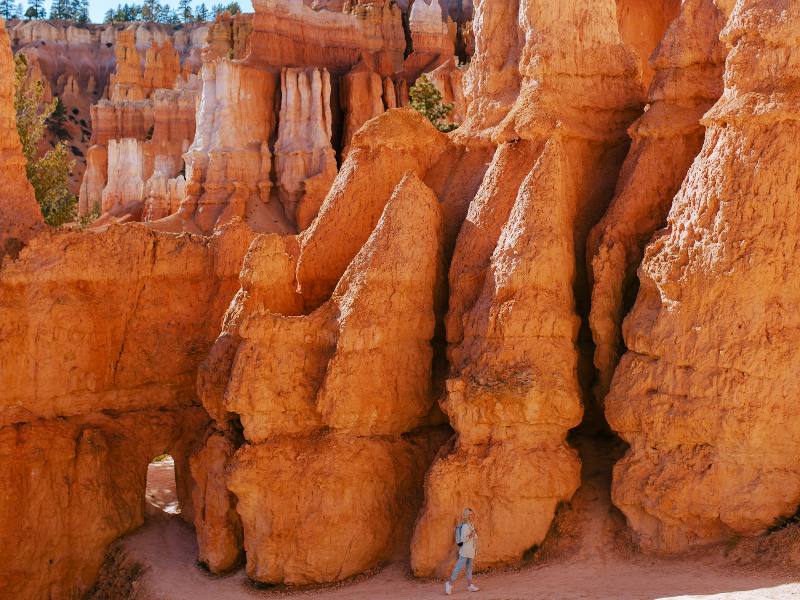 View of Bryce Canyon