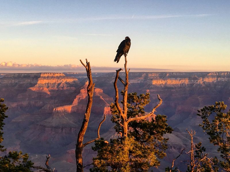 View of the Grand Canyon